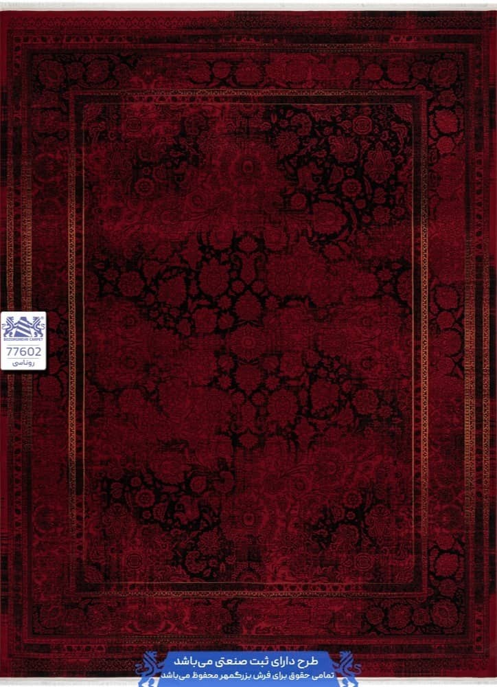 WhatsApp Image 2025-12-27 at 10.49.49 AM 77602